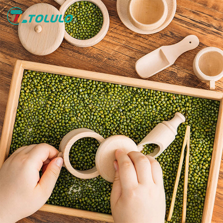 Tolulo Montessori Educational Toys에 대해 얼마나 알고 있습니까?